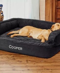 Pacemakerco.shopc1d35caab4 3