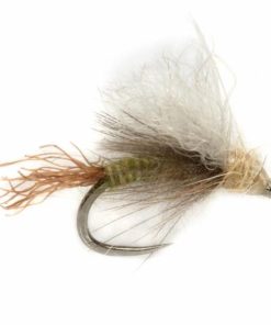 Pacemakerco.shopc331c3bacd 1