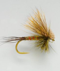 Pacemakerco.shopc3b0a15165 1