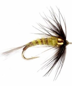 Pacemakerco.shopc4e071d20d 1