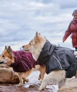 Pacemakerco.shopc581d3c27b 2