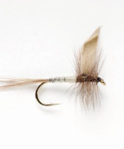 Pacemakerco.shopc59baa9d15 1