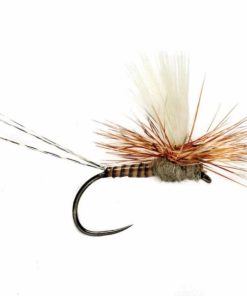 Pacemakerco.shopc5fe6784e2 1