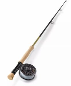 Pacemakerco.shopc6021c99d7 1