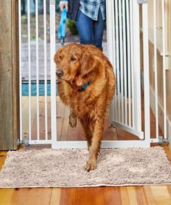 Pacemakerco.shopc6689d1d7f 1