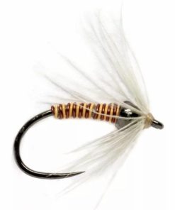 Pacemakerco.shopc6df06860c 1