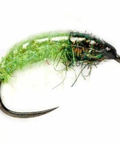 Pacemakerco.shopc7223657c0 1