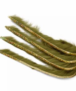 Pacemakerco.shopc74a2a9af6 1