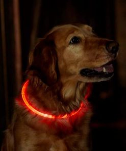 Pacemakerco.shopc783b01064 1