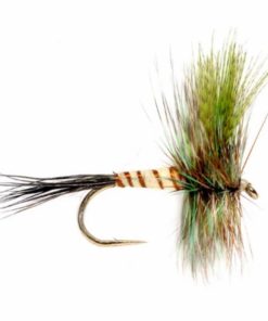 Pacemakerco.shopc79efbfb99 1