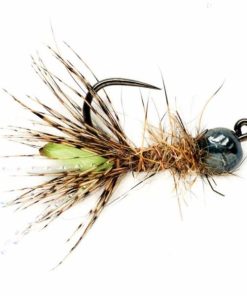 Pacemakerco.shopc95d5a298d 1