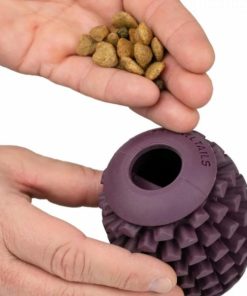 Pacemakerco.shopca4e223a1b 2