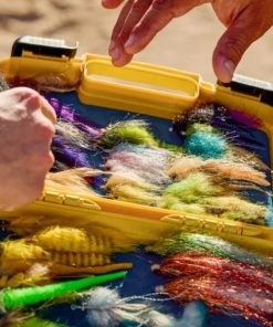 Pacemakerco.shopcb9cab3467 2