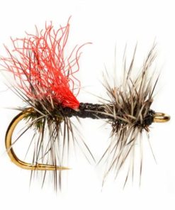 Pacemakerco.shopcbda30c333 1