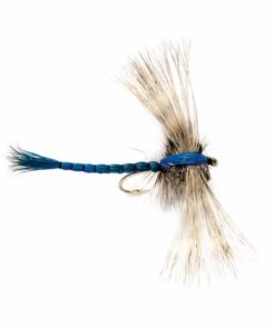 Pacemakerco.shopce5eca883c 1