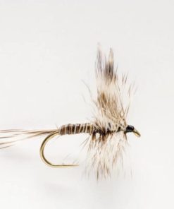 Pacemakerco.shopcedcb542fb 1