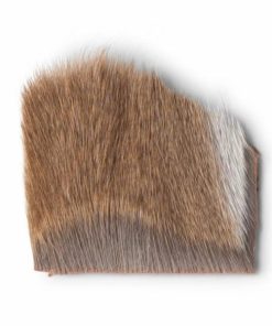 Pacemakerco.shopcf4e551251 1