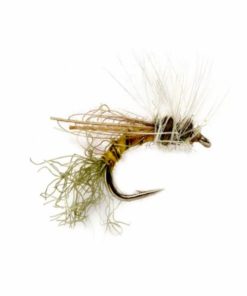 Pacemakerco.shopcfefdf59b5 1