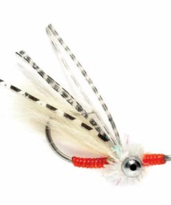 Pacemakerco.shopd181477766 1