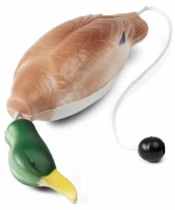 Pacemakerco.shopd1de48ca2e 1