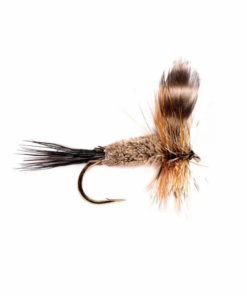 Pacemakerco.shopd23a2821f8 1