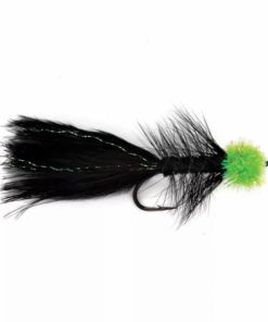 Pacemakerco.shopd2e7465585 1