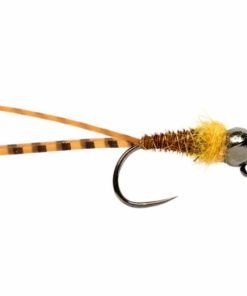 Pacemakerco.shopd763bc6a79 1