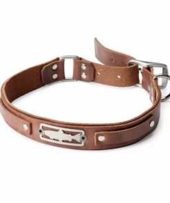 Pacemakerco.shopd824ab10a3 1