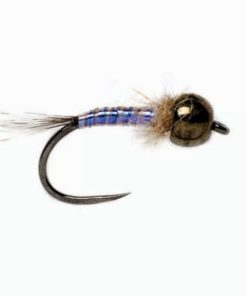 Pacemakerco.shopd8aa37662e 1