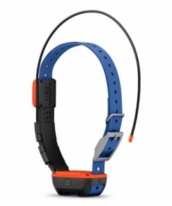 Pacemakerco.shopd9f7bd1358 2