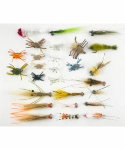 Pacemakerco.shopda929821a4 1