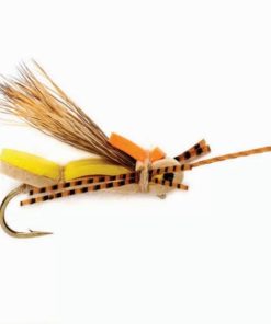 Pacemakerco.shopdc26a3bc4f 1