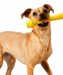 Pacemakerco.shopdc538e4b30 3