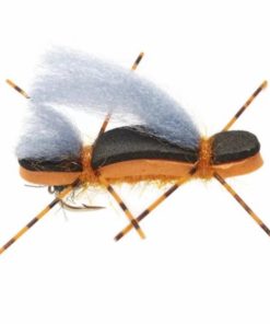 Pacemakerco.shopdd1571c5b9 1