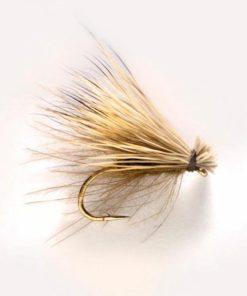 Pacemakerco.shopdda4acd17a 1