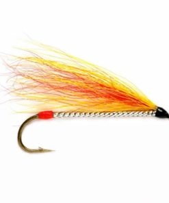 Pacemakerco.shopddcb0b268b 1