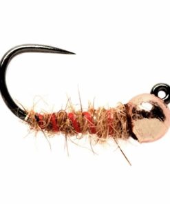 Pacemakerco.shope009b9044d 1