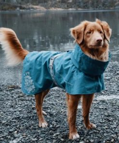 Pacemakerco.shope13ee29beb 2