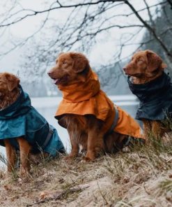 Pacemakerco.shope13ee29beb 3