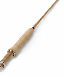 Pacemakerco.shope2d8e845ae 1