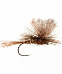 Pacemakerco.shope32939a5ac 1