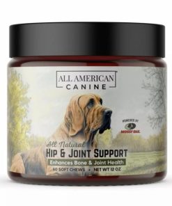 Pacemakerco.shope60a151cea 1