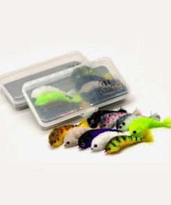 Pacemakerco.shope66e27b978 1