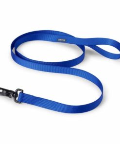 Pacemakerco.shope695dab21d 2