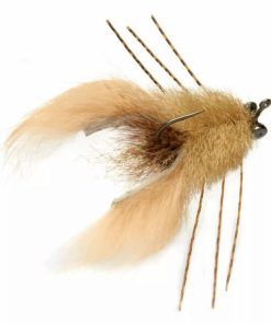 Pacemakerco.shope6971dfe07 1