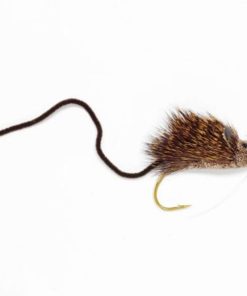 Pacemakerco.shope7465310a4 1