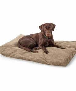 Pacemakerco.shopeaebc69540 1