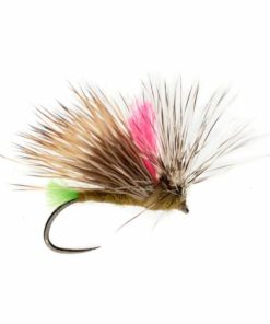 Pacemakerco.shopeaf13a806b 1