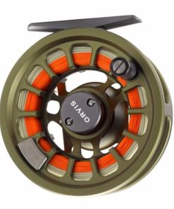 Pacemakerco.shopec31d80c96 2