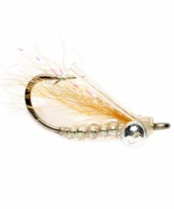 Pacemakerco.shopee05141846 1